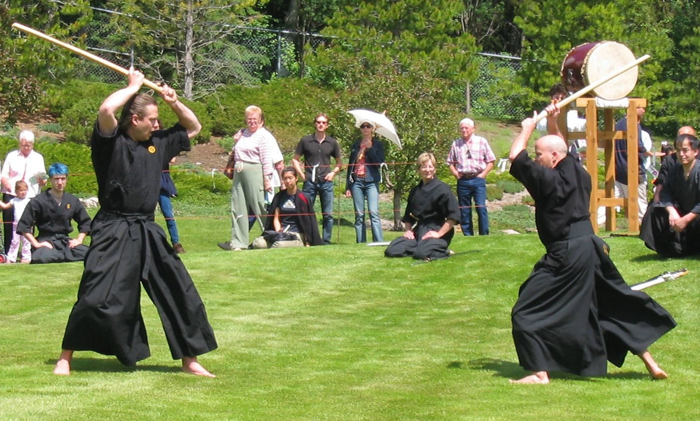 iaido martial arts